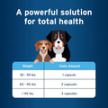 Pet Protect M/L Dog Omega-3 Supplement, Proprietary Free Form Blend, Supports a Normal Inflammatory Response, Snip-Tip Capsules (60 Count)