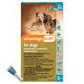 Advantage Multi Topical Solution for Dogs 1 Dose, 9.1-20 lbs (Teal)