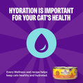 Wellness Complete Health Pate Variety Pack Kitten Canned Wet Cat Food, Natural, Protein Rich, Grain Free, Whitefish and 