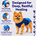 Surgi Snuggly Dog Surgery Recovery Suit, Cone Alternative, Spay/Neuter ML