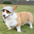 Dog Baseball Cap, Dog Cat Summer Beach Visor Hat with Ear Holes, Adjustable Puppy Sunbonnet Headdress