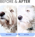 Lillian Ruff PRO Formula Berry Blue Brightening Dog Conditioner - Professional Whitening Conditioner Hydrate Dry Skin, Soften, Detangle, Restore Shine - Provitamin B5, USA Made 16oz
