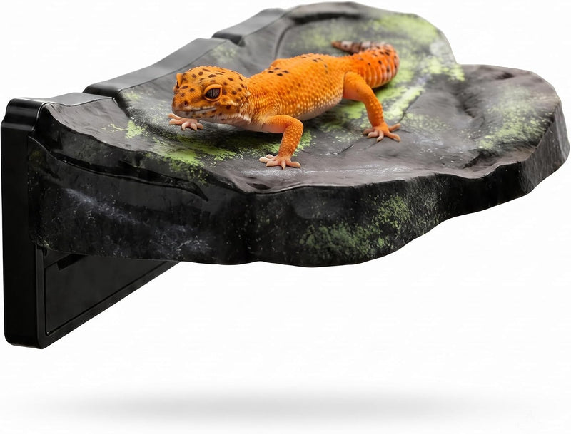 Magnetic Reptile Ledge, Rock Basking Platform for Terrarium