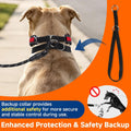 Mayerzon Hidden No Pull Dog Collar for Large Medium Small Dogs, Martingale