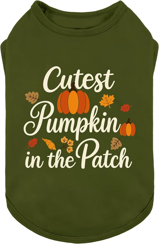 Fitwarm Cutest Pumpkin in the Patch Dog Shirt for Small & Medium Dogs
