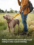 Give Me Space Leash Sleeve, Funny Do Not Pet Reactive Dog Patch
