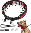 Mayerzon Hidden No Pull Dog Collar for Large Medium Small Dogs, Martingale