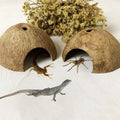 PINVNBY 2 PCS Natural Coconut Reptile Hideouts Lizard Coco Hut Hermit Crab Hut Aquarium Fish Hide Cave Spider Snail Clim