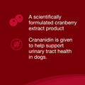 Nutramax Crananidin for Dogs, Urinary Tract Health and Bladder Health Support, Cranberry Supplement for Dogs of all Breeds and Sizes, Chewable Tablets, 75 Count