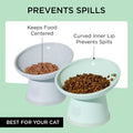 Necoichi 2pcs Tilted Elevated Cat Food Bowls BPA-Free Plastic 15° Tilted Raised Cat Bowl for Whisker & Neck Fatigue, Dishwasher Safe Non-Slip & Anti-Vomiting Ergonomic Design (Smoky Mint)