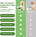 Probiotics for Puppies - 5 Billion CFU Digestive Health Supplement with 9 Strains & Prebiotics - Eases Tummy Upset, Gas 