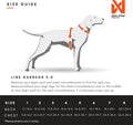 Non-stop Dogwear No Pull Dog Harness 5.0 - Padded Harness with Reflective Details for Small Dogs, Ergonomic Y-Shaped Adj