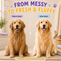 Oatmeal Dog Shampoo and Conditioner for Sensitive Skin with Aloe 32 fl oz