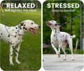 HowGo Slip Lead Dog Leash, 360°Swivel Anti-Tangle