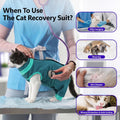 BRKURLEG Cat Recovery Suit with Hind Legs, Breathable Post Spay Onesie for Female Cats & Kittens, Anti-Licking Abdominal & Hind Leg Wound Protector, Cone Alternative, Green L