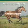 Corta-Flx U-Gard Pellets for Horses, Digestive Supplement, 10 lb Bucket
