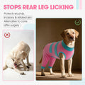 QBLEEV Dog Surgery Recovery Suit for Rear Legs, Long Back Leg Sleeve Pants
