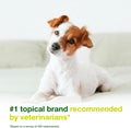 Douxo S3 SEB Dog Seboregulating Mousse, 0.5% Ophytrium, 5 fl oz