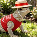 2 Packs Bearded Dragon Harness and Leash Set and Hats Adjustable Lizard Reptiles Harness with Short Leash for Walking Ou