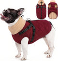 Queenmore Dog Jackets for Medium Dogs, Dog Coat with Harness Built in