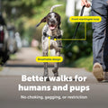 PetSafe Easy Walk Dog Harness