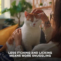 Cat Allergy Relief & Immune Support, Natural Relief for Seasonal Allergies, Itching, Sneezing, Congestion, Runny Nose, and Feline Respiratory Infections, 400 Small Odorless Tasteless Pills