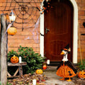 Halloween Porch Goose Outfit Pumpkin Wizard Costume