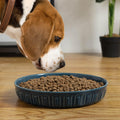 10.5" Shallow Dog Bowls, Ceramic Flat Dog Food Plates for Large Dogs