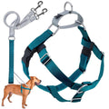 2 Hounds Design Freedom No Pull Dog Harness, Adjustable Harness and Leash Set, Easy Walking & Comfortable Control, Fits Small, Medium & Large Dogs, Solid Colors, Made in USA, 1" LG, Teal