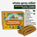 Birds LOVE 1 LB Wholesome Spray Millet for Birds – USA Grown, Natural Sun-Dried Millet Sprays – Thick Seed-Rich Clusters for Parakeets, Budgies, Cockatiels, Conures, Finches & Parrots