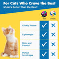 SunGrow Cat Crinkle Balls, Mylar Interactive Toys for Indoor Cats, 6 Pcs