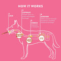 TRURANCH Large Pork Skin Rolls - Chicken-Wrapped Jerky Collagen Rolls - Collagen Chews for Dogs - Real Pork Skin - Rawhi