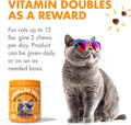 Hairball Treatment for Cats Natural Remedy with Apple Pomace, Psyllium Husk Omega 3 6 Fatty Acids Zinc Biotin Cat Supple