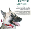 Sporn Head Halter for Dogs, No Pull Dog Harness, Durable Nylon Training Collar for Large Breeds, No Choke Design, Padded