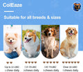 Probiotics for Dogs Gut Digestive Health Probiotic Chews for Dogs with 11 Billion CFUs, 4 Prebiotics, Pumpkin, Salmon Oi