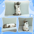 Coppthinktu Cat Recovery Suit Female Cat Onesie After Surgery Anti Licking