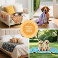 Luciphia 1 Pack 6 Dog Blankets Cat Soft Fluffy Fleece Pet Blanket Warm Cute Print Design Puppy Kitten Doggy Paw Small(23"x16")
