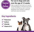 Vet Classics Pet-A-Lyte Oral Electrolyte Solution for Dogs & Cats - 32 Oz