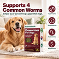 Dewormer for Dogs, Dog Dewormer for All Wormers, Roundworms, Tapeworms, Whipworms and Hookworms, 48 Count