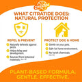 Natural Flea, Tick & Mosquito Spray for Dogs – Cedarwood & Citrus Formula – Plant-Based, DEET-Free, Non-Toxic, USA Made – Safe for Home & Pets – CITRATIDE (16 fl oz)