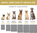 Washable Reusable Dog Pee Pads, 34"x52" Absorbent & Waterproof Puppy Training Pad for Crate, Playpen & Carpet, Large Potty Pads for Dogs, Cats & Small Pets
