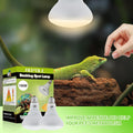 LUCKY HERP Heat Lamp Bulbs - 150W Reptile Heat Lamp 2 Pack, Daylight Basking Heat Lamp Bulbs for Reptile, UVA Heat Light