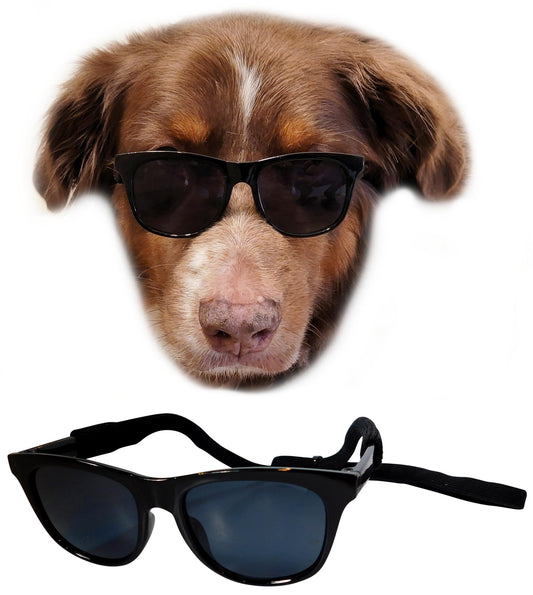 G006 Dog Medium Breeds 20-40 lbs Pet Cat 80s Costume Prop Sunglasses (Black)