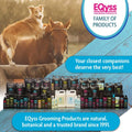 EQyss Mega-Tek Equine Horse Rebuilder - Repair & Strengthen Dry Hooves, Manes, Tails - Reduce Hair Breakage, Condition B
