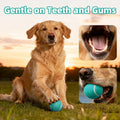 Sunraymascota 6-Pack Tennis Balls for Dogs Fetch Toys,for Beginner Practice