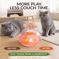 KADTC Large 2-in-1 Cat Puzzle Toy, Spin Treat Dispenser & 2 Foraging Balls