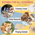 Packsy 100g/3.52oz Dehydrated Salmon&Carrot Dog Sticks,Natural Freeze-Dried Salmon Sticks for Dogs,High Protein,Grain-Free,Gluten-Free,Healthy Snack for All Breeds&Sizes