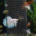 Acrylic Aquarium Fish Tank Divider Clear Kit Fit for All Type Aquarium Divider with Suction Cups (Kit A -1 PC 9.8"x11.8"