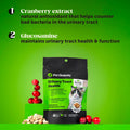 Pet Honesty Vet Recommended Cat Urinary Supplement Crunchy Chews, 30ct