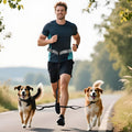Tails & Tales Hands Free Dog Leash with Waist Pouch, Lumbar Support Upgraded, Bungee Reflective Leash, Adjustable Belt 25-55", Walking Running Hiking Training for Dogs Up to 125lbs (Gray, Two Dogs)
